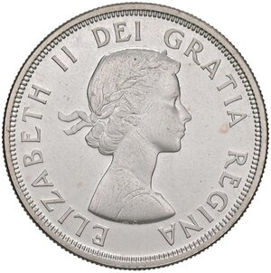 Immagine diritto