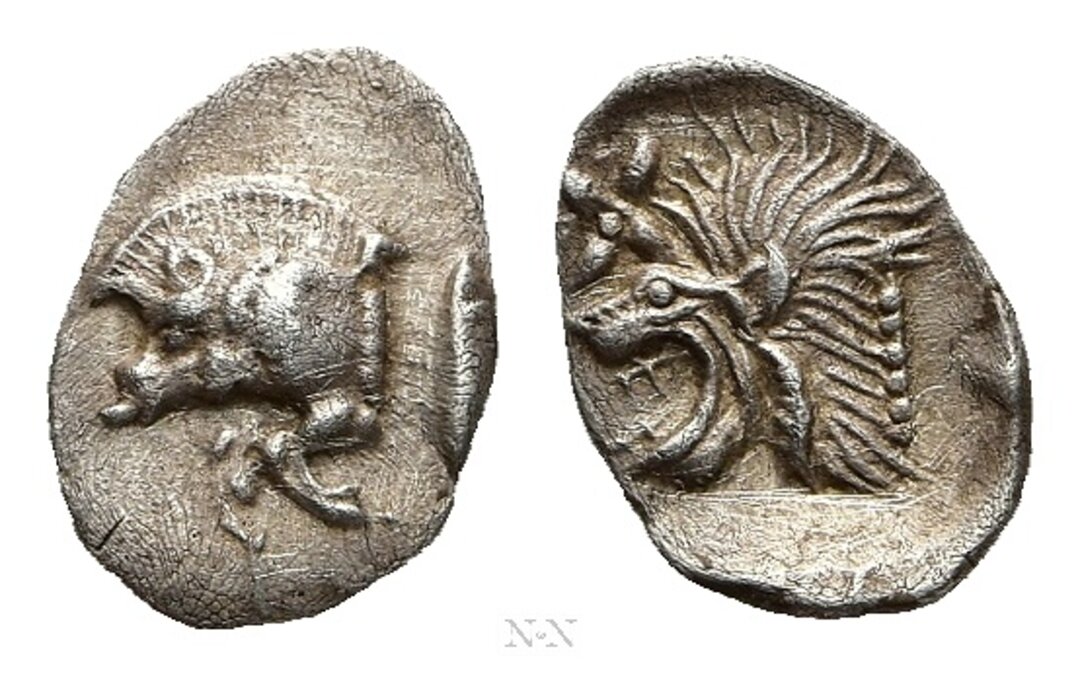 Dritto moneta