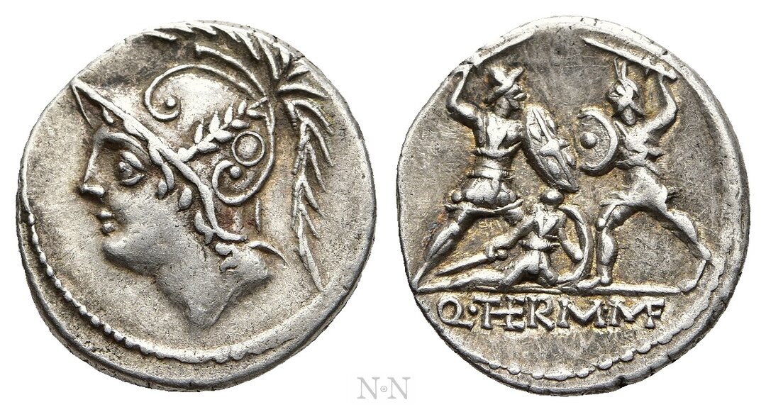 Dritto moneta