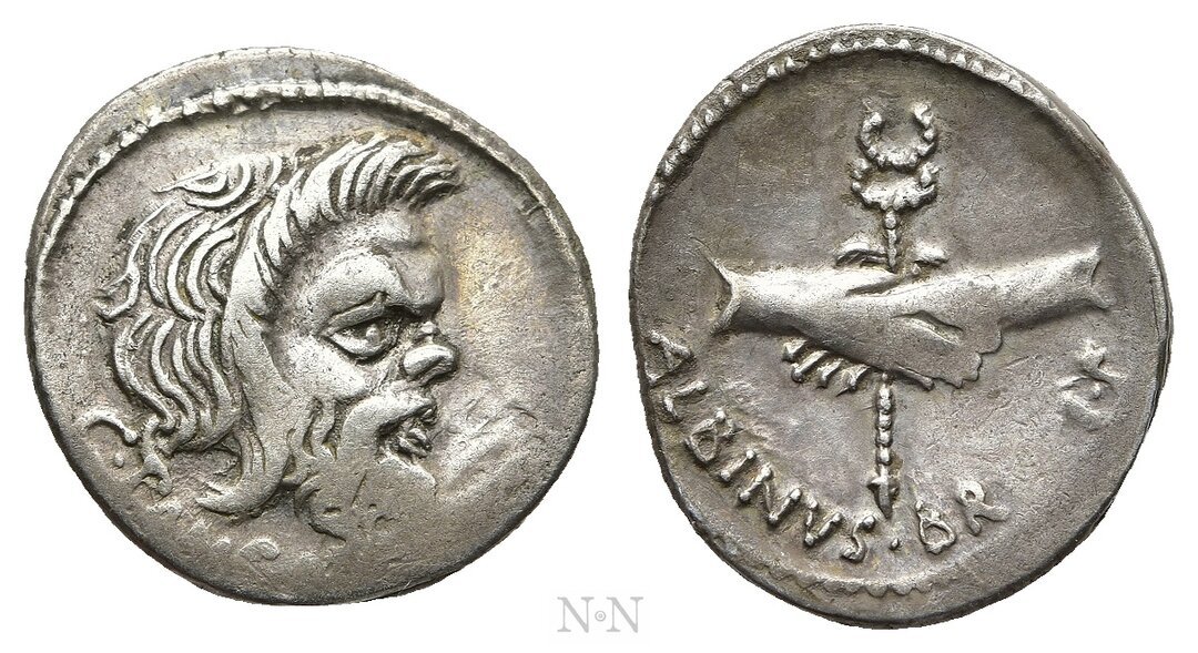 Dritto moneta