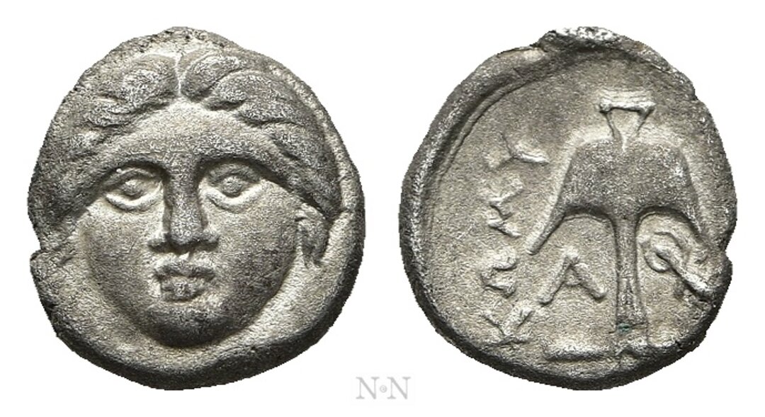 Dritto moneta