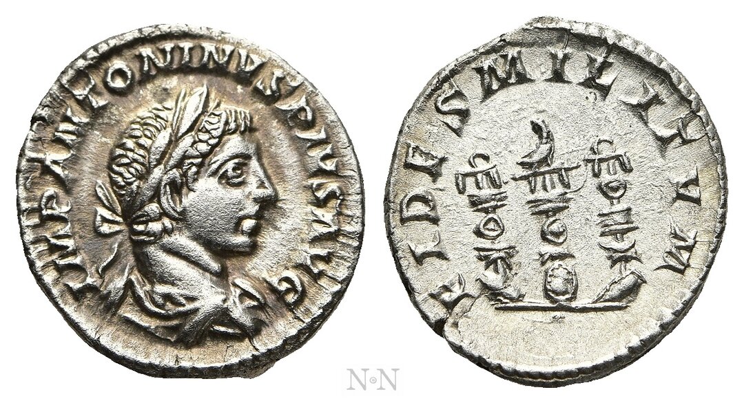 Dritto moneta