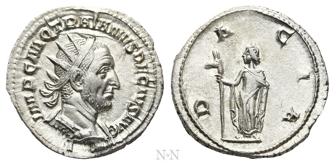 Dritto moneta