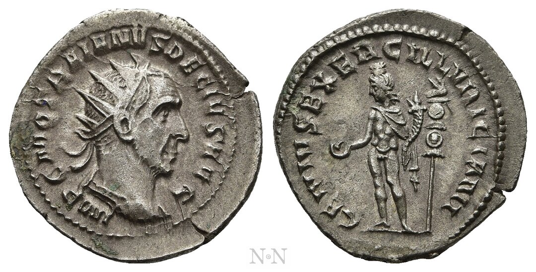Dritto moneta
