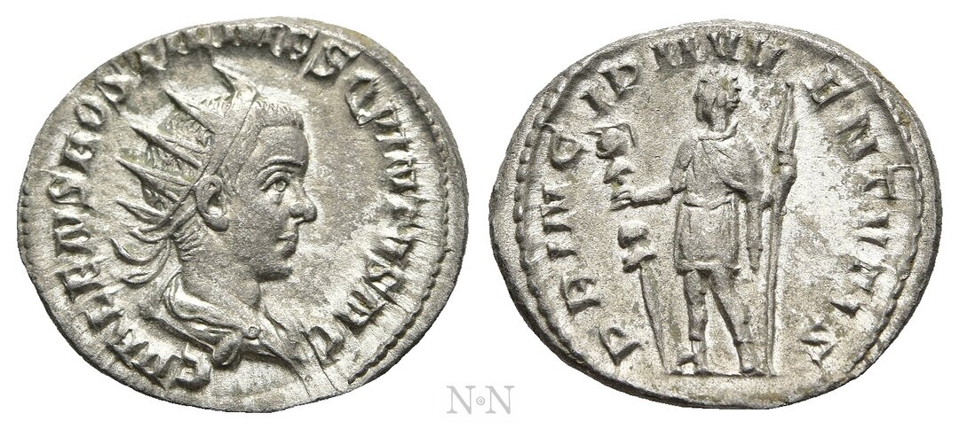Dritto moneta