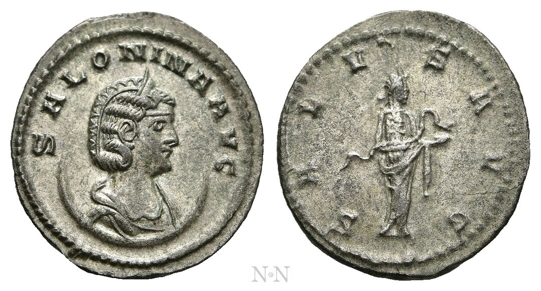 Dritto moneta