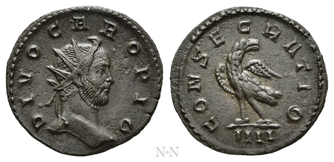 Dritto moneta