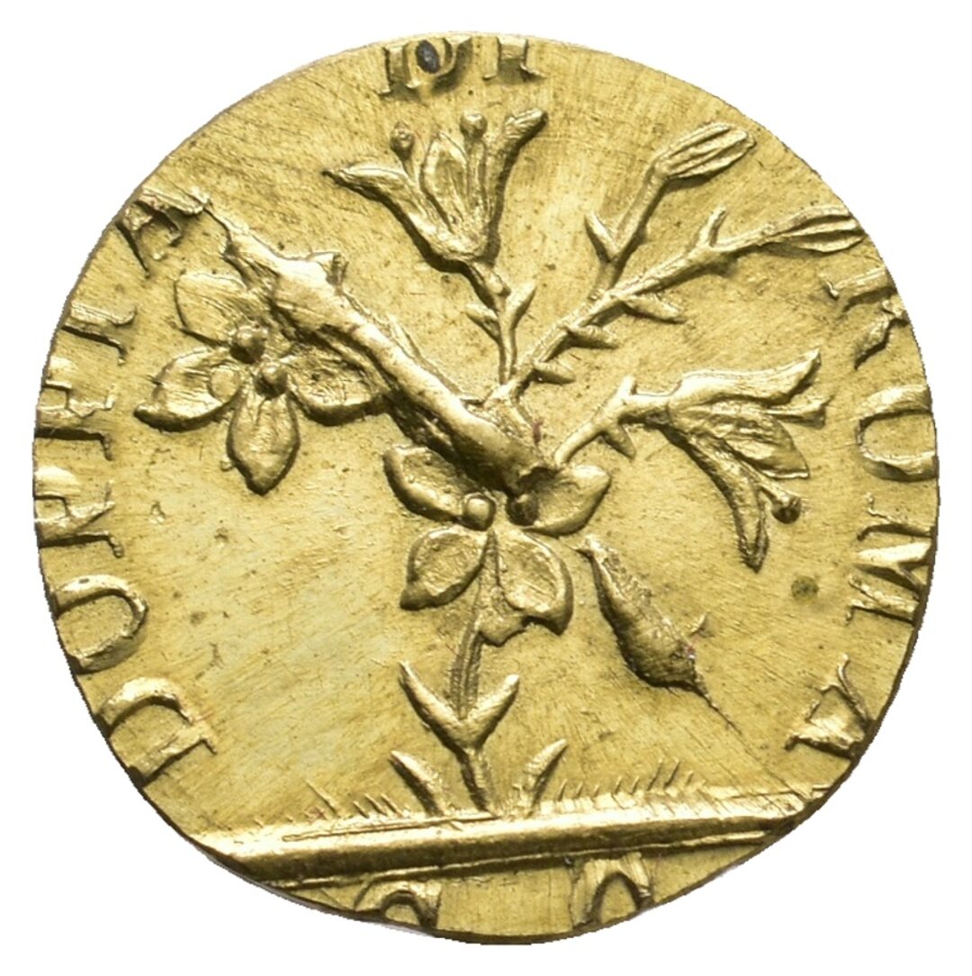 Dritto moneta