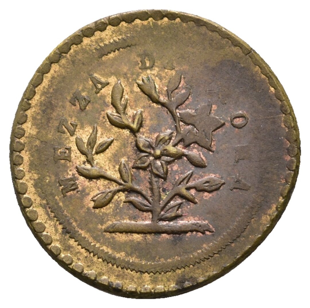 Dritto moneta