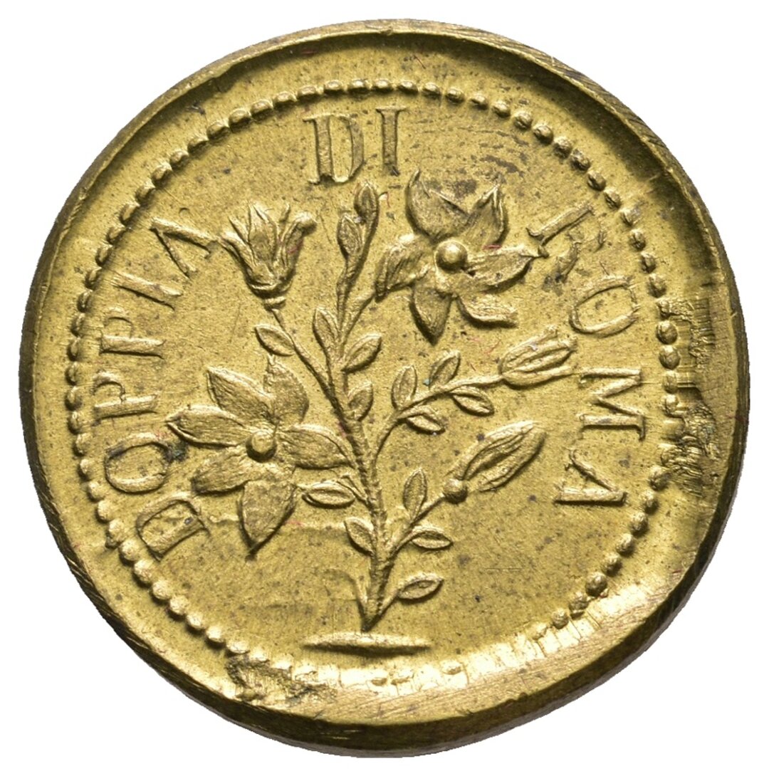 Dritto moneta