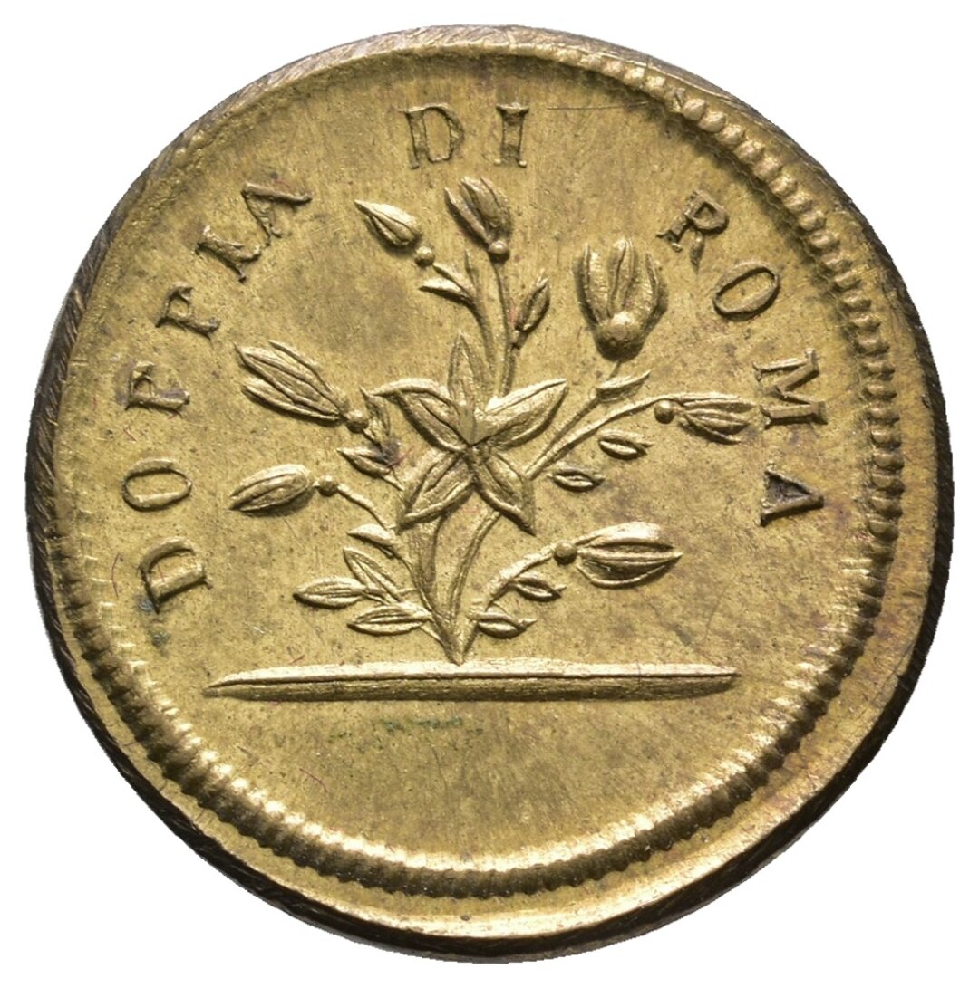 Dritto moneta