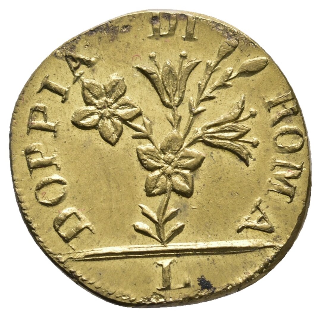 Dritto moneta
