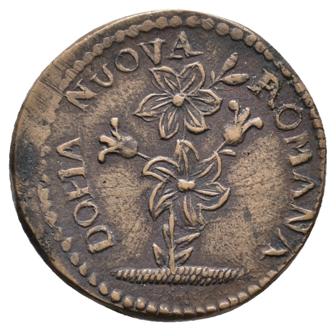 Dritto moneta