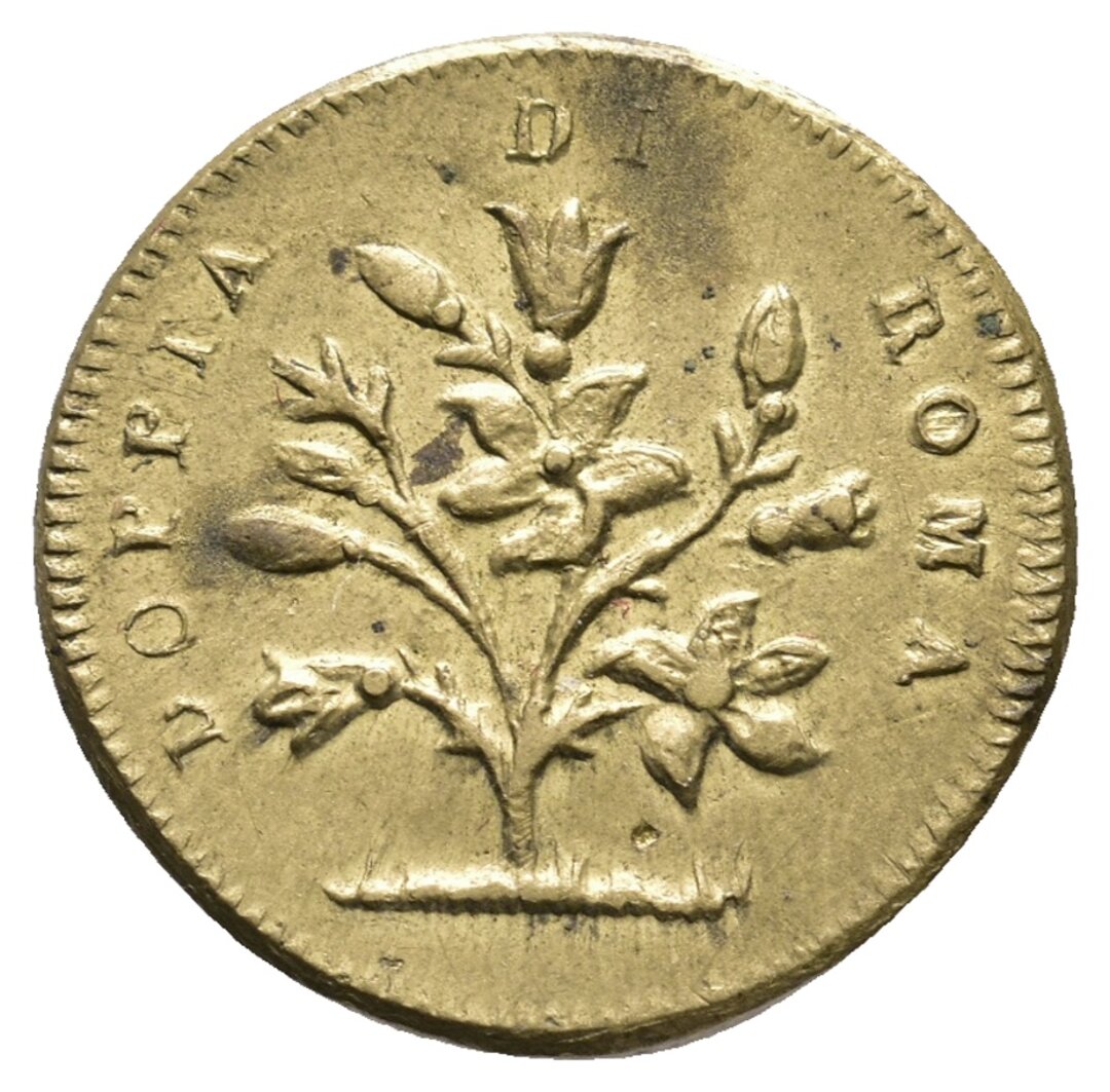 Dritto moneta