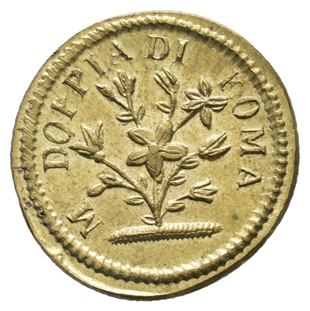 Dritto moneta