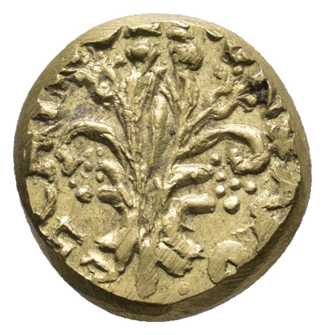 Dritto moneta