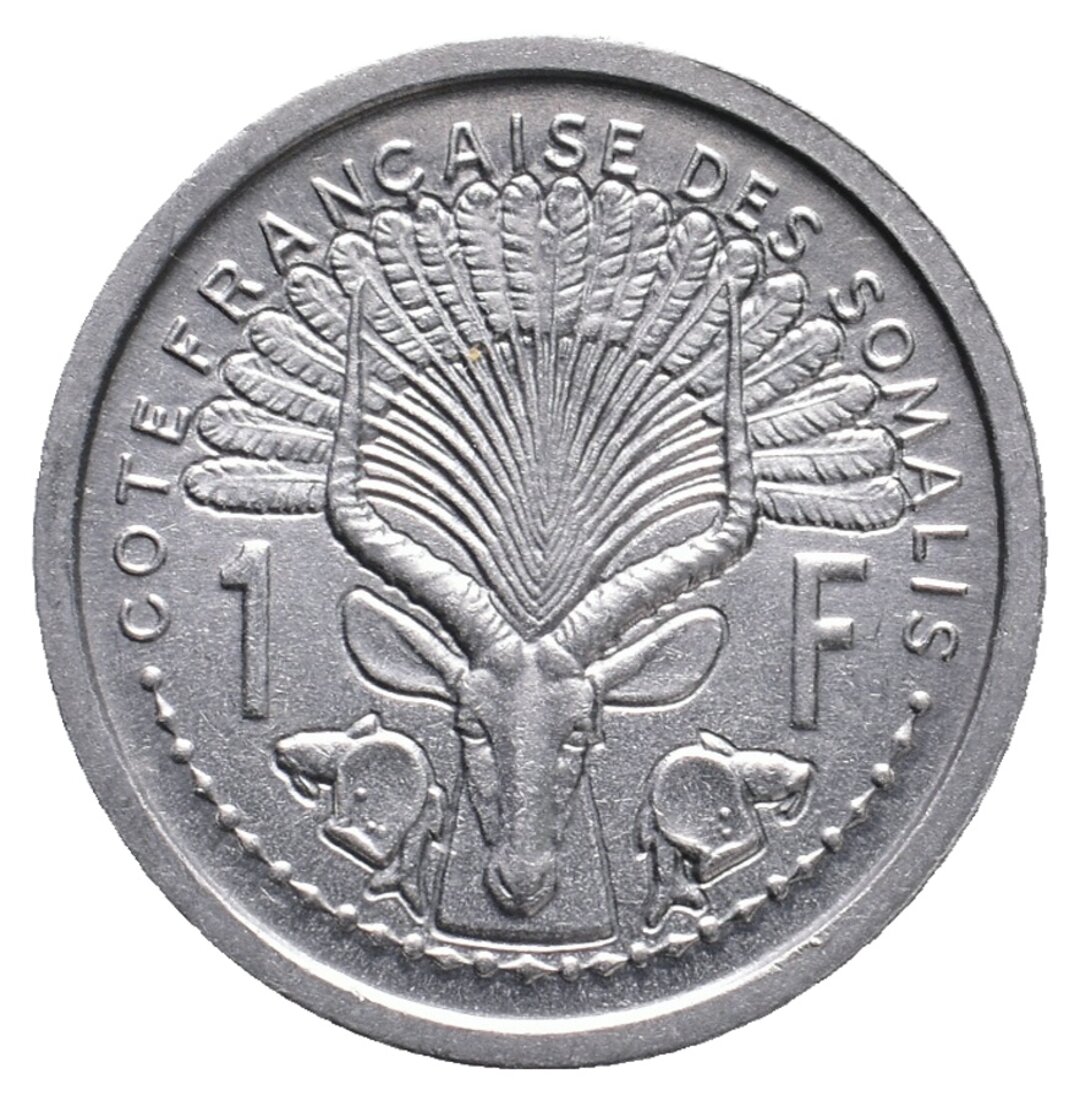 Dritto moneta