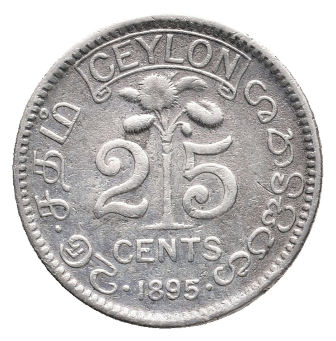 Dritto moneta