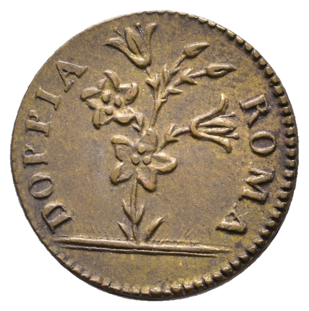 Dritto moneta