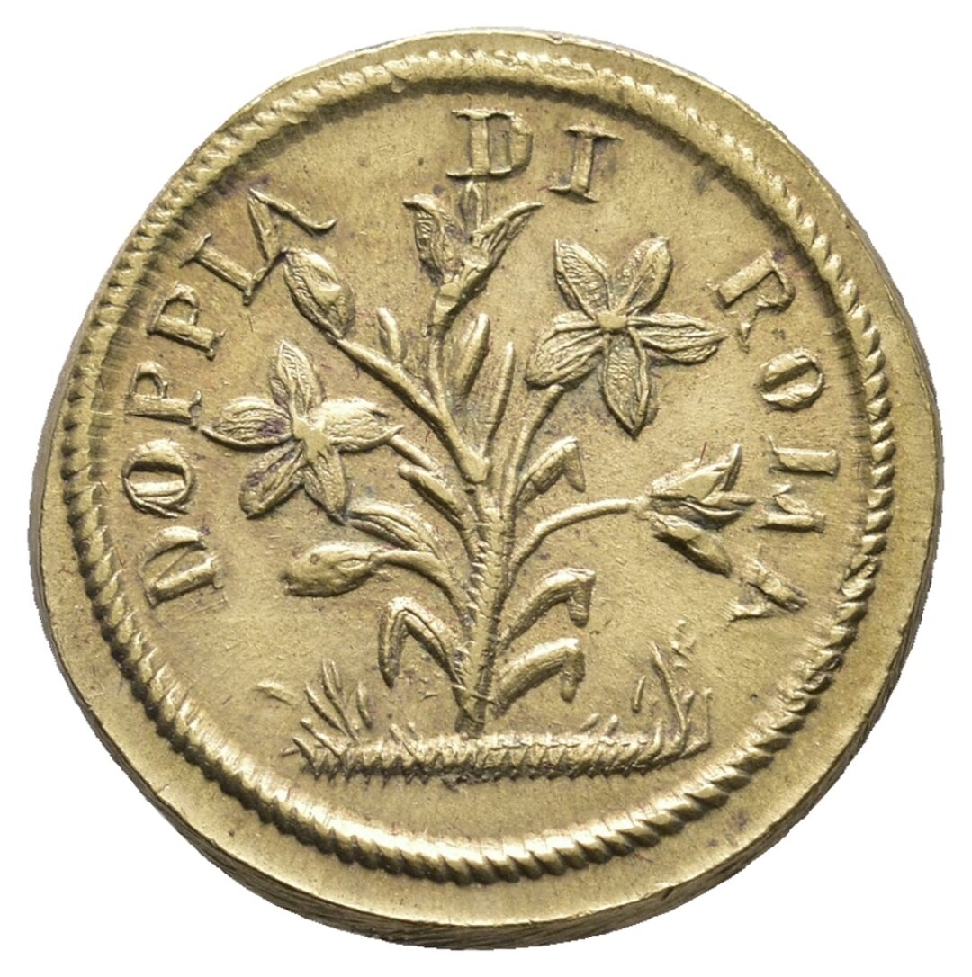 Dritto moneta