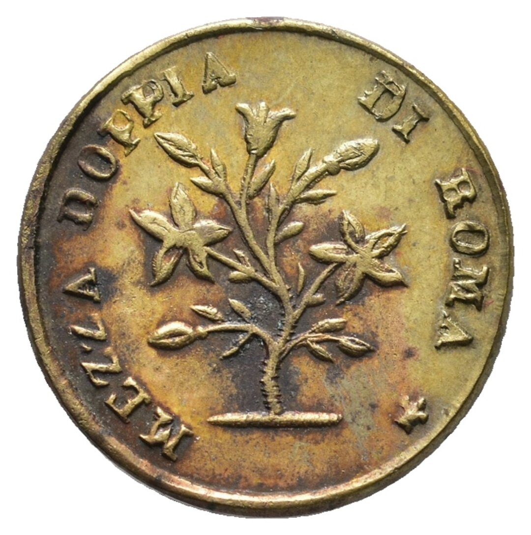 Dritto moneta