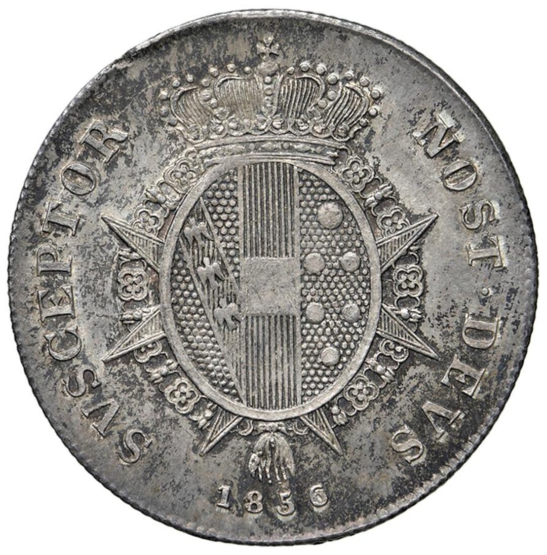 Rovescio moneta
