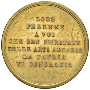 Immagine rovescio