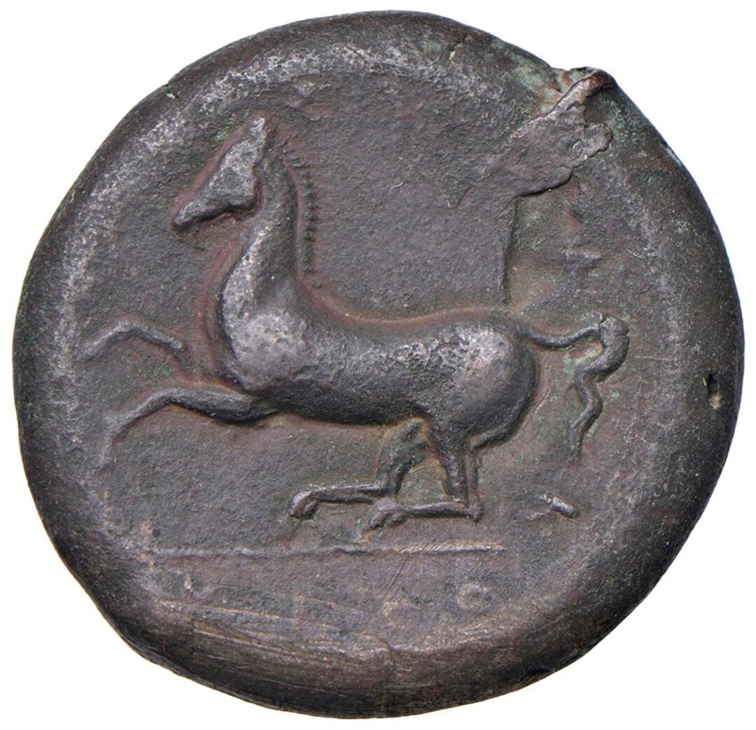 Rovescio moneta