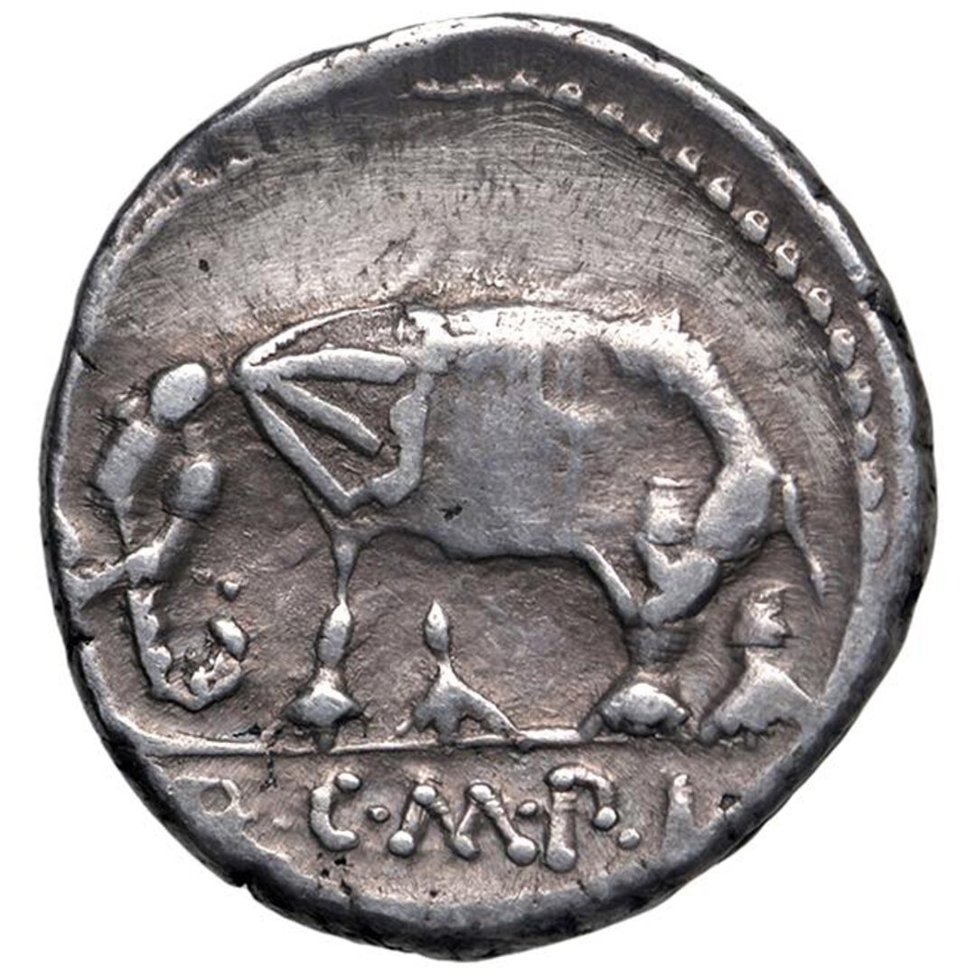 Rovescio moneta