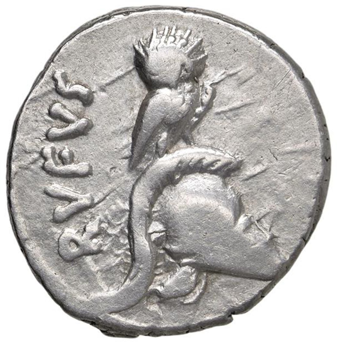 Dritto moneta