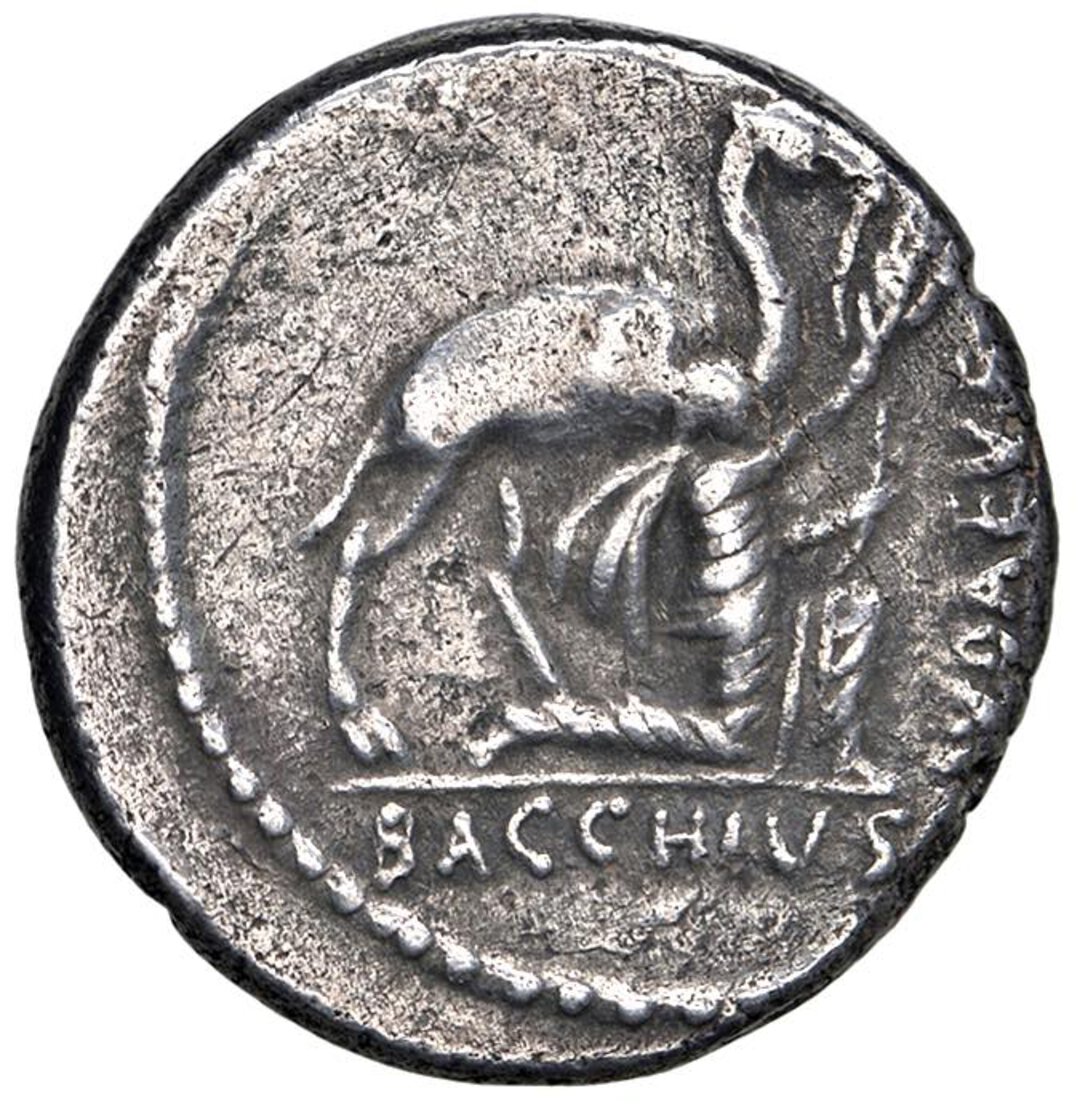 Rovescio moneta