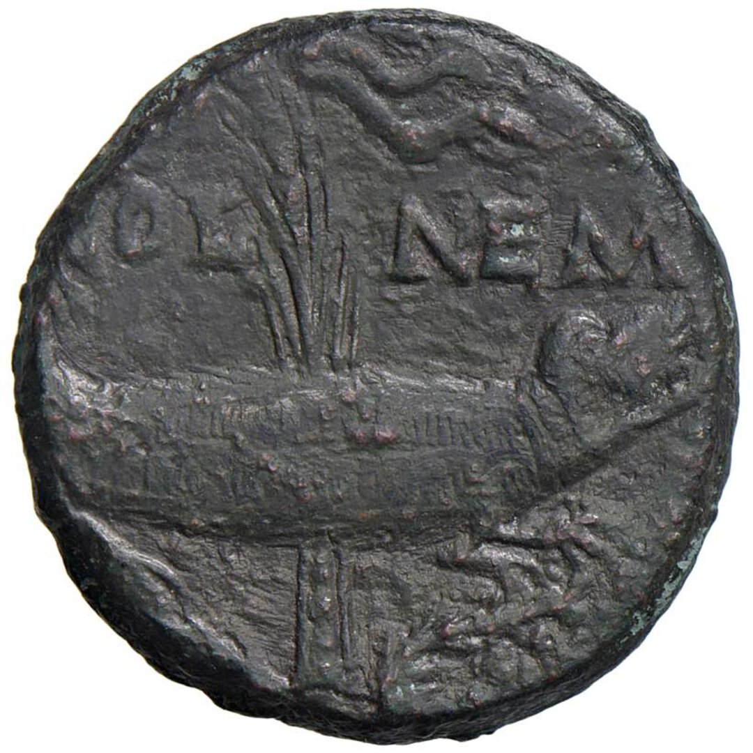 Rovescio moneta