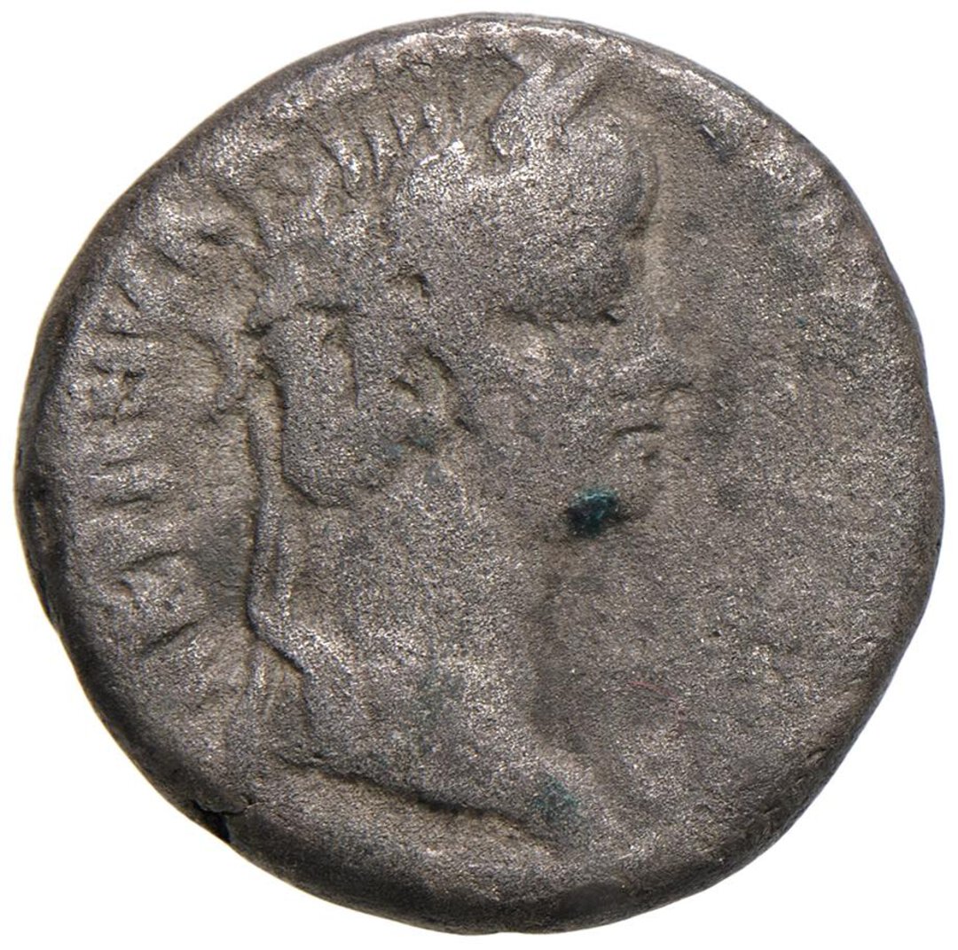 Dritto moneta