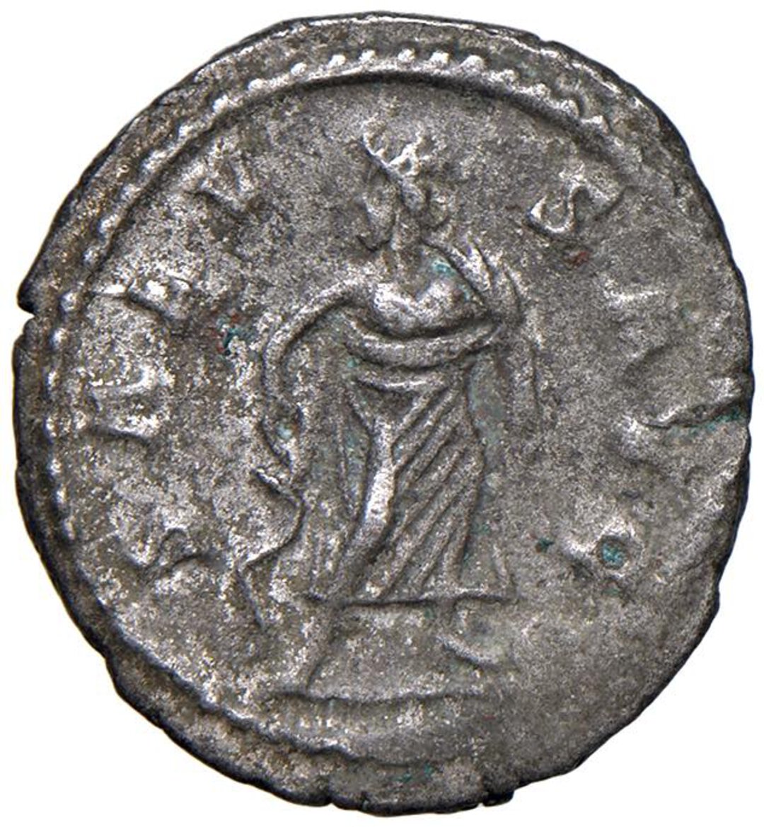 Rovescio moneta