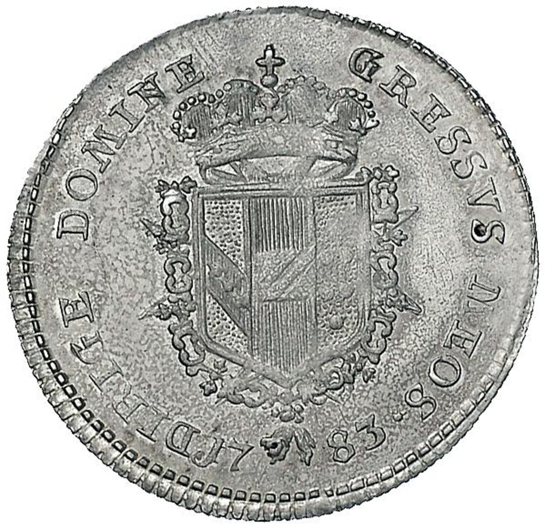 Rovescio moneta