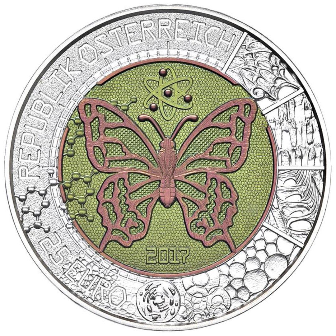 Dritto moneta