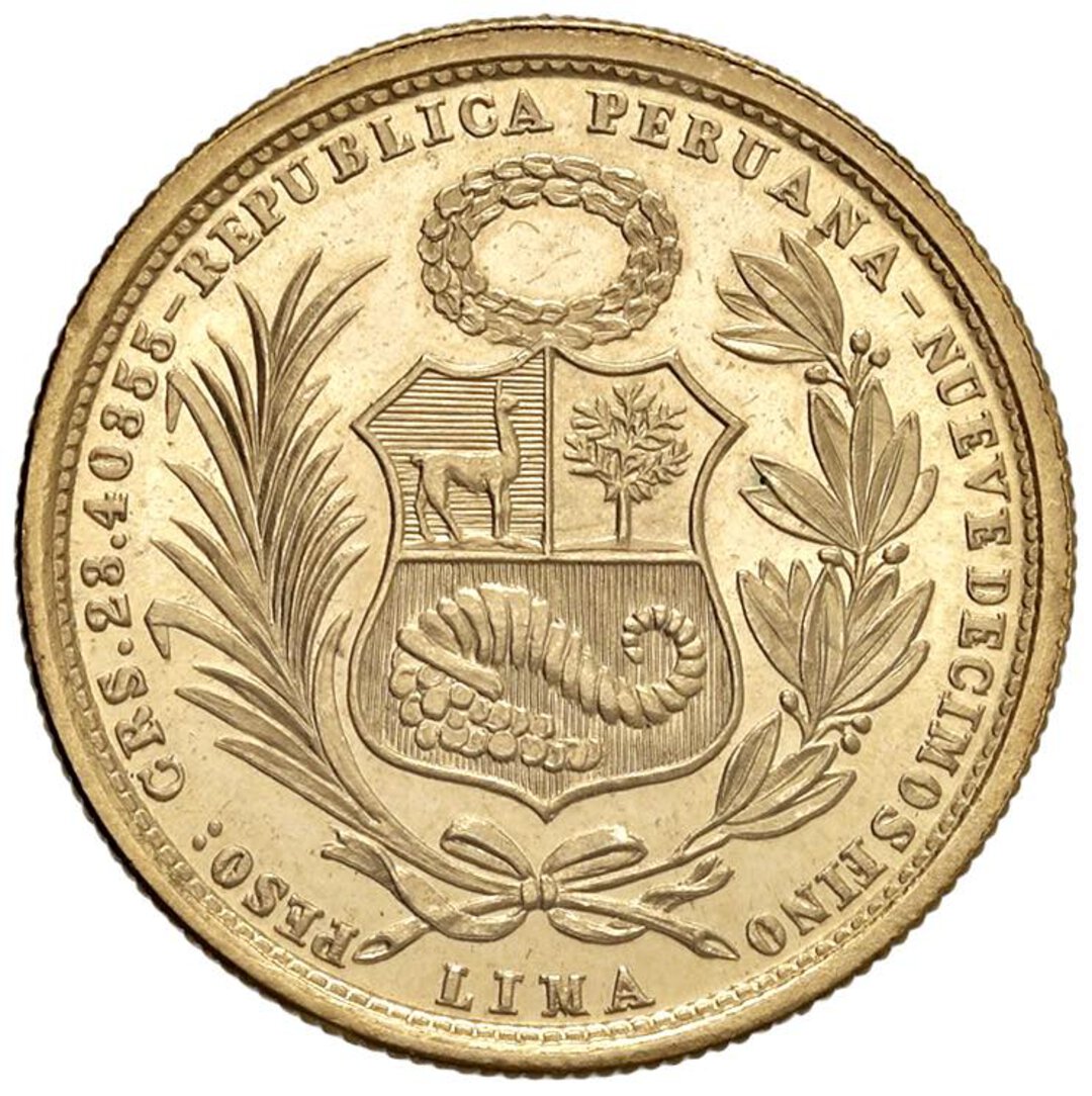 Dritto moneta