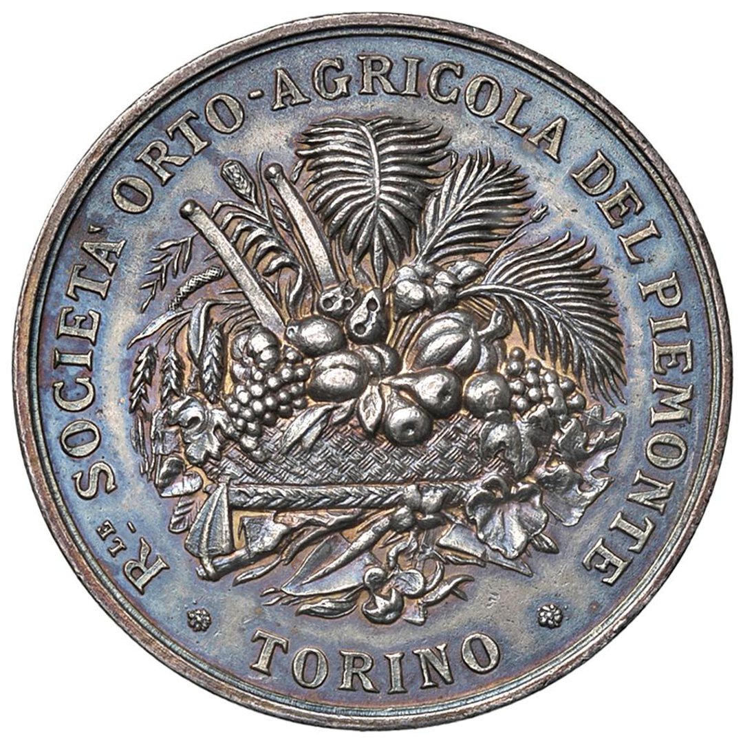 Dritto moneta