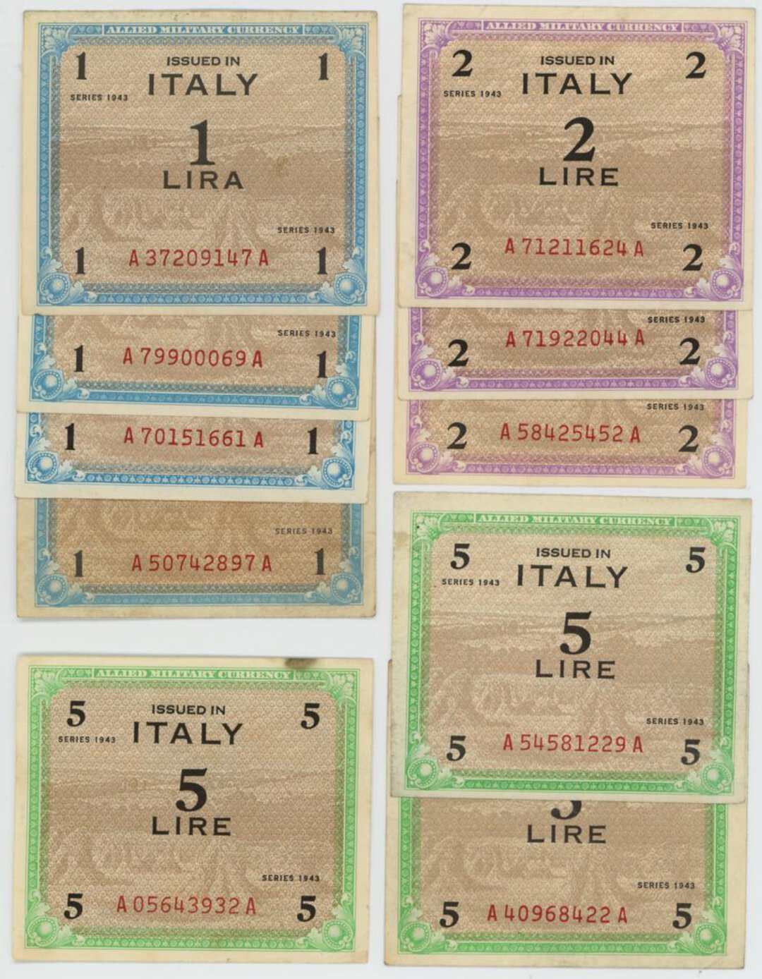 Dritto moneta