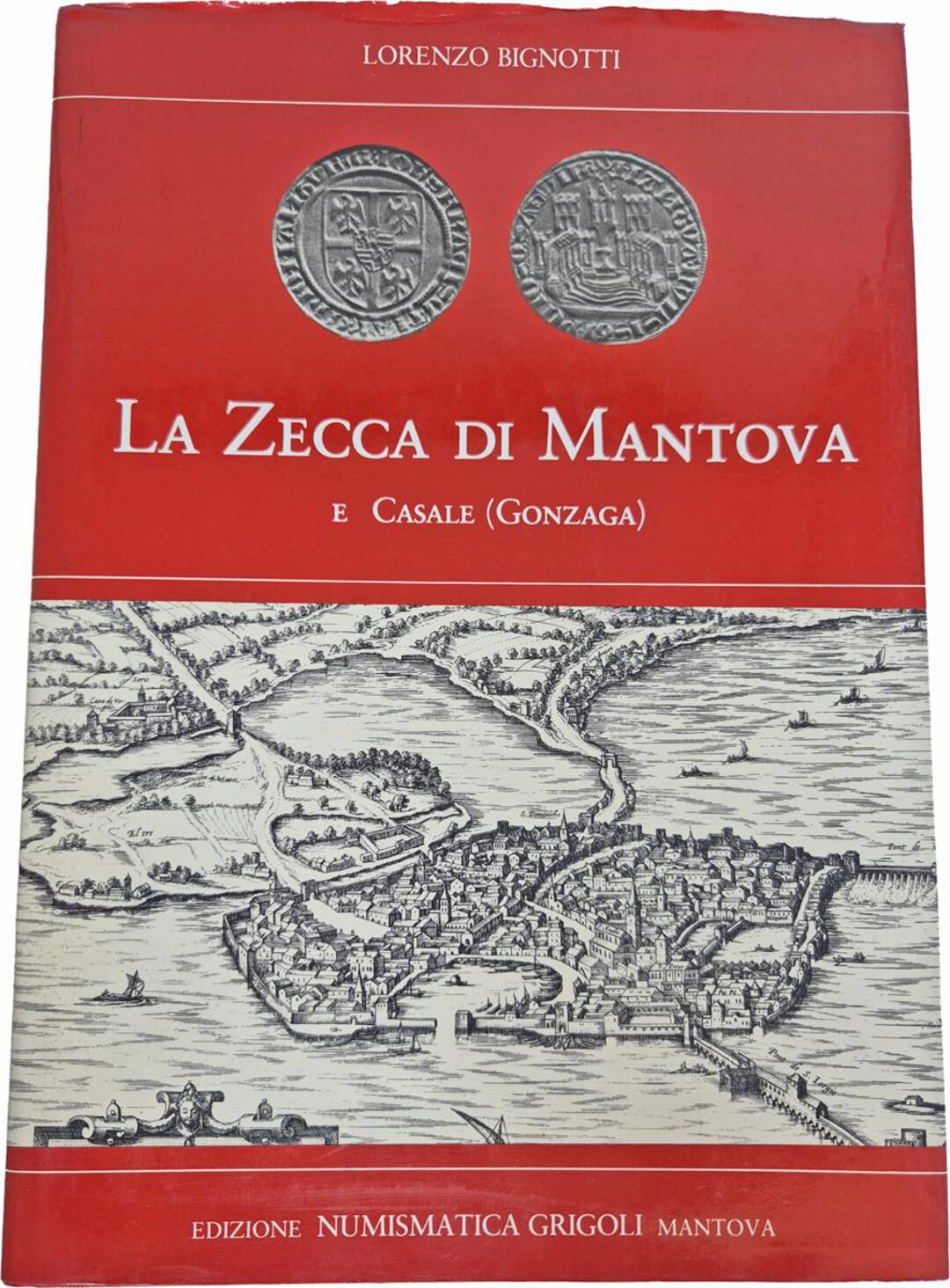 Dritto moneta
