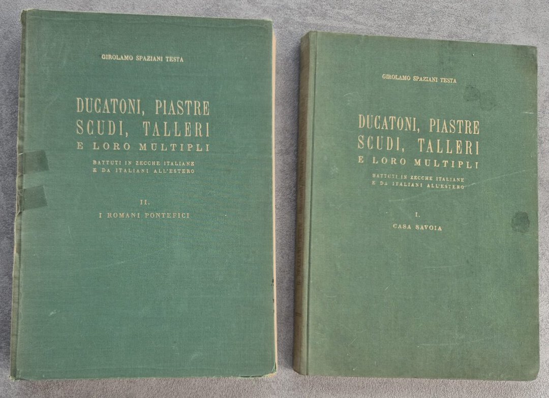 Rovescio moneta