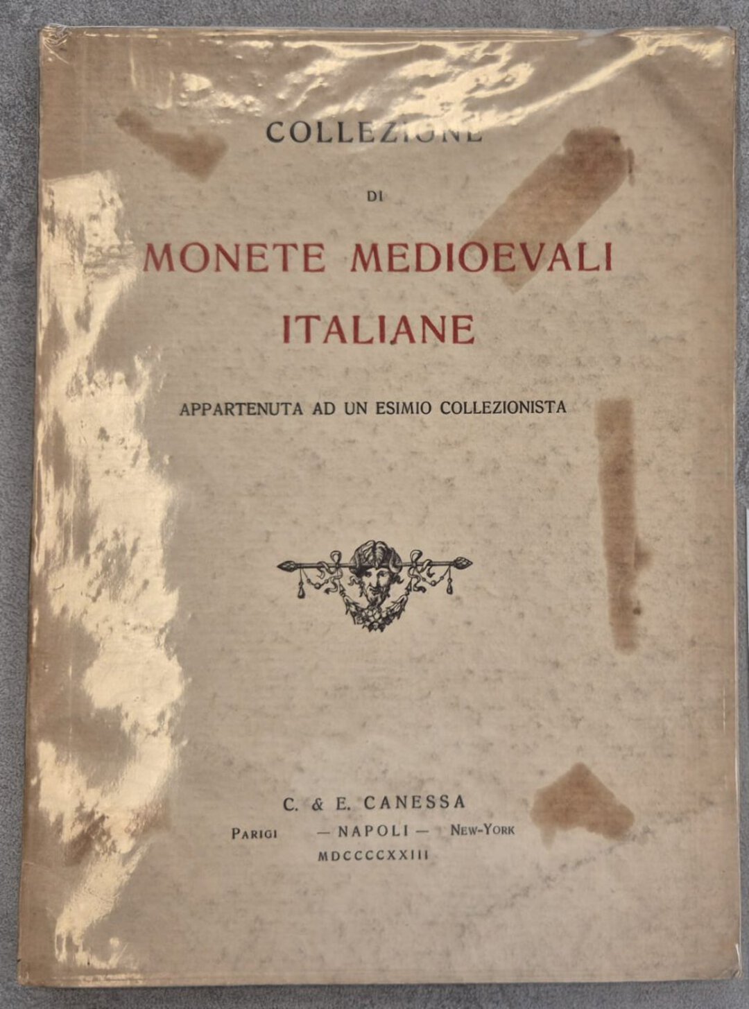 Dritto moneta