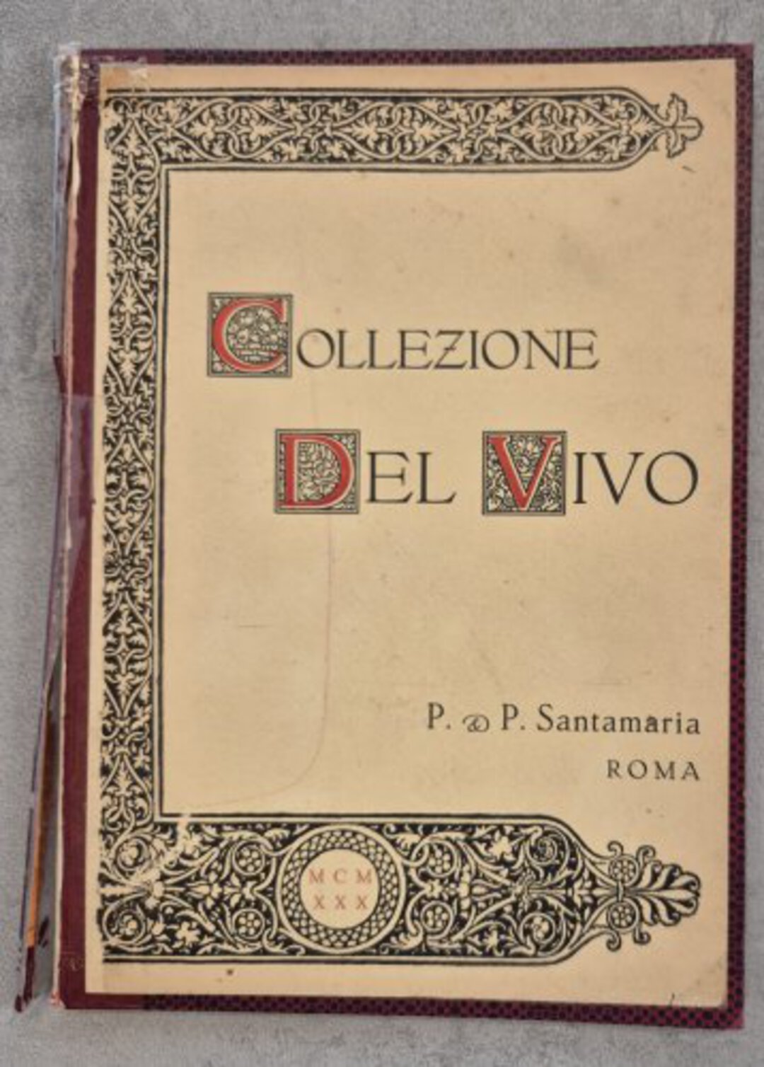Dritto moneta