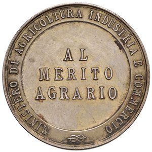 Immagine rovescio