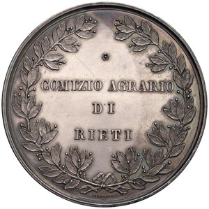 Immagine rovescio
