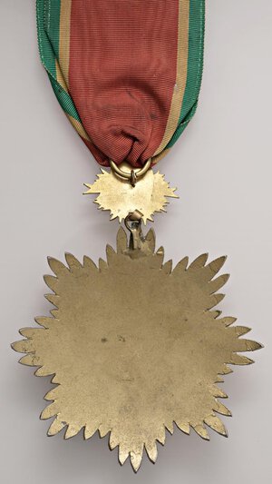 Immagine rovescio