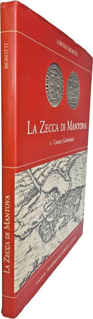 Immagine rovescio