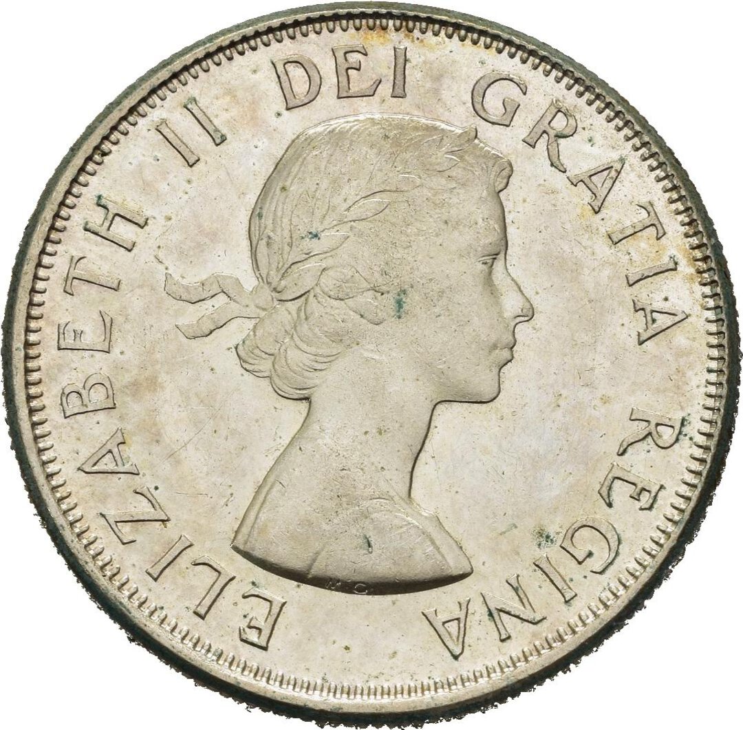 Dritto moneta