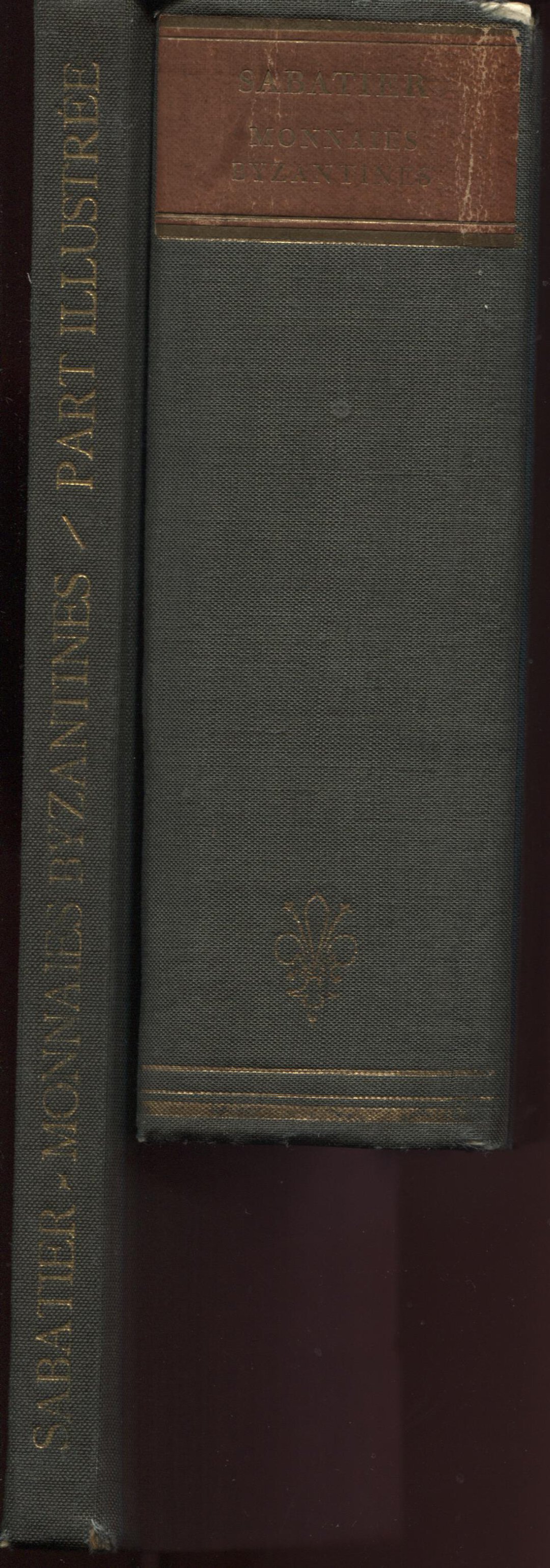 Dritto moneta