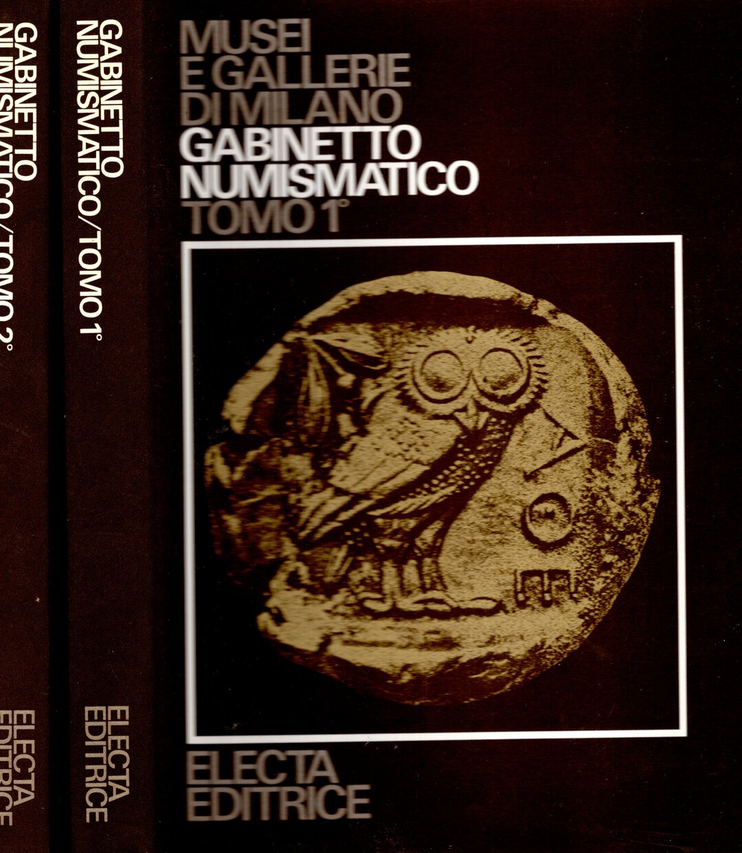 Dritto moneta